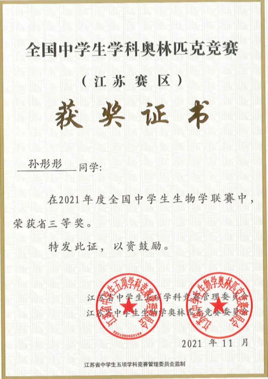 3.png