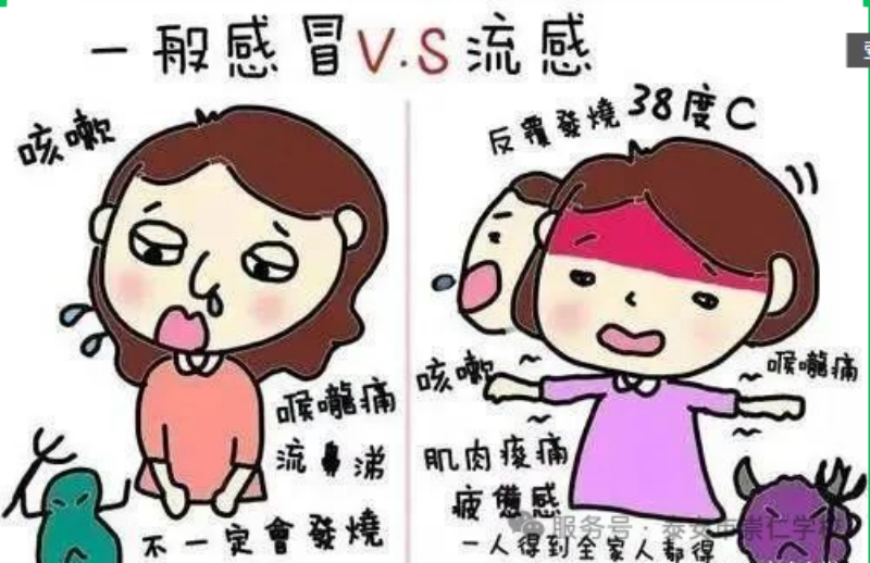 图片 10.png