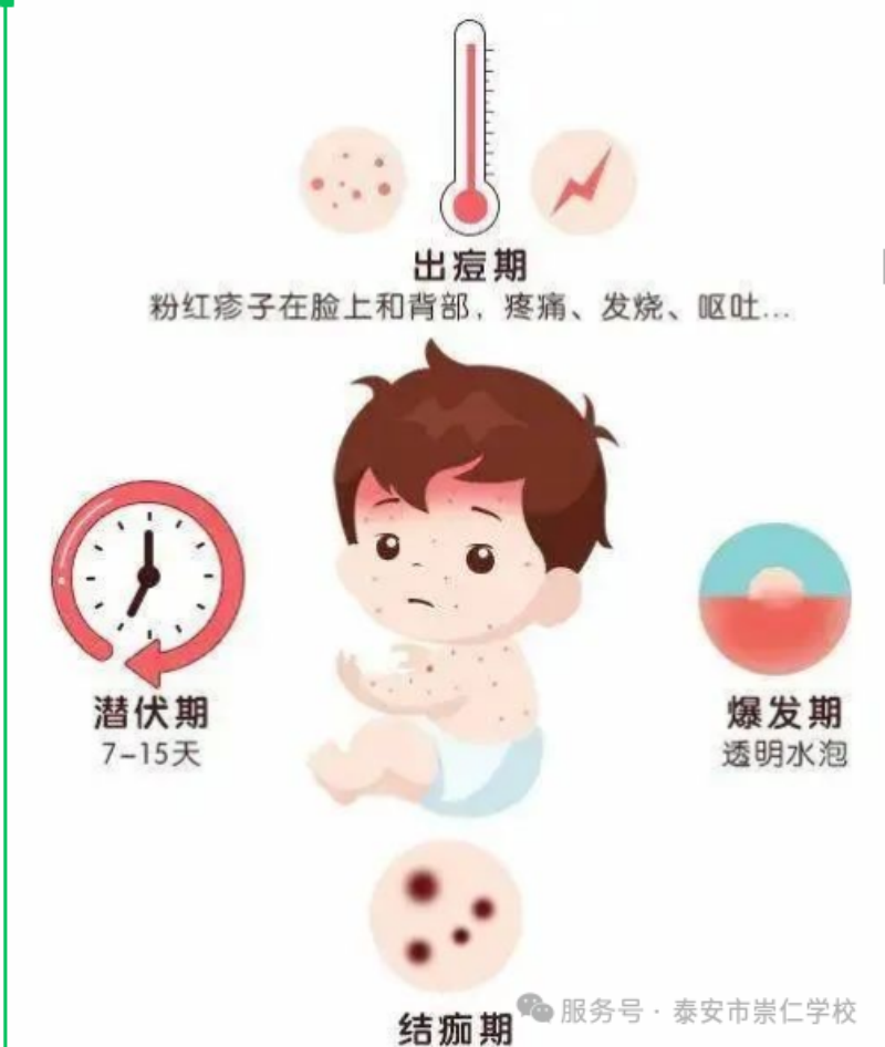 图片 11.png